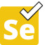 selenium testing course